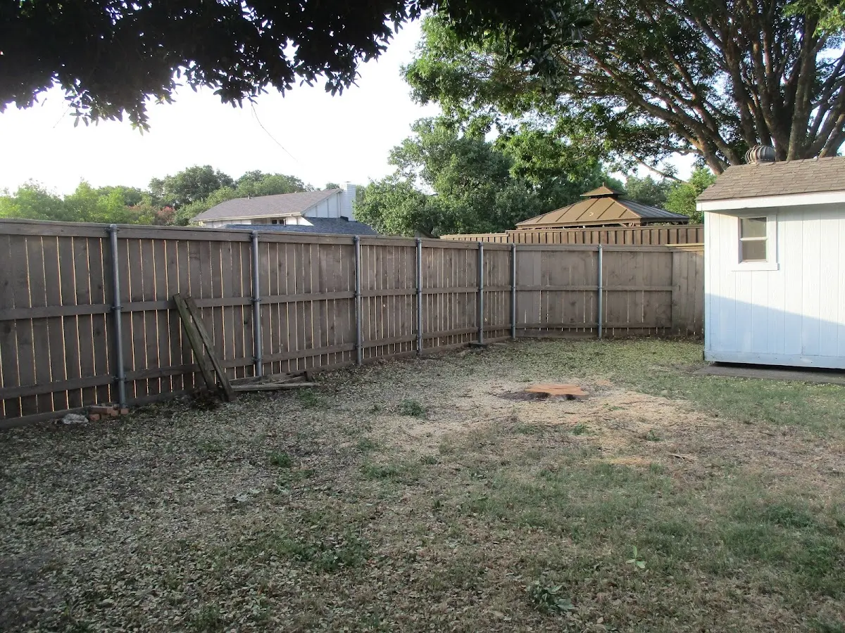 Cleared yard after professional tree removal in Cowlesville